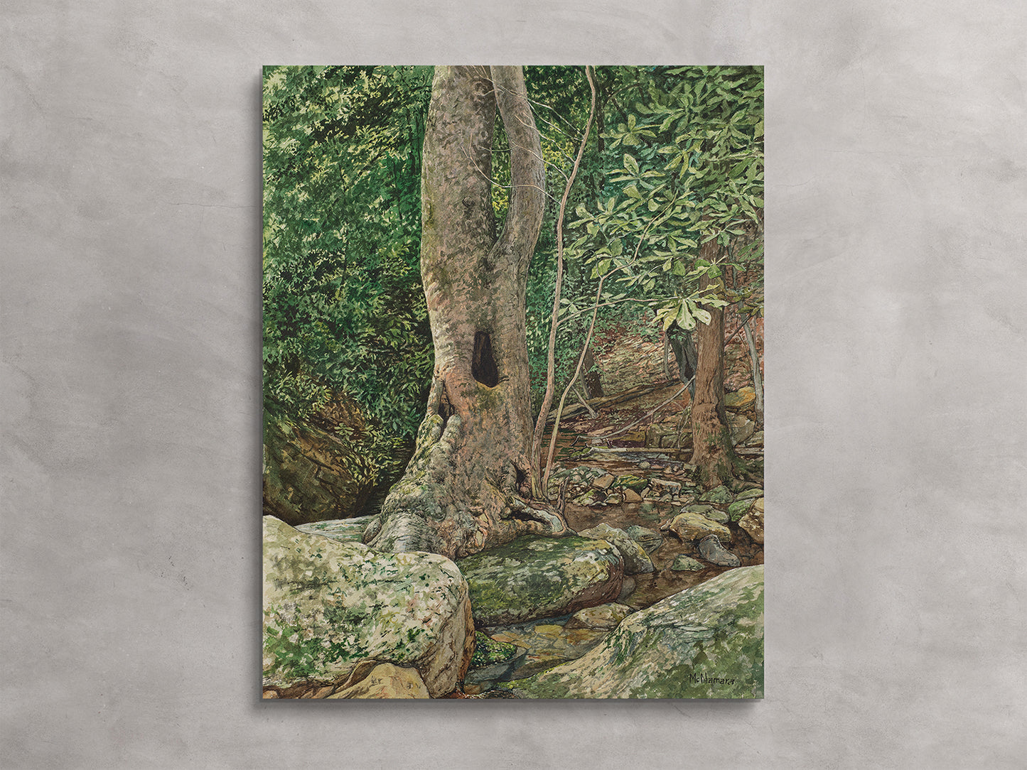 Sycamore at Doug Hollow