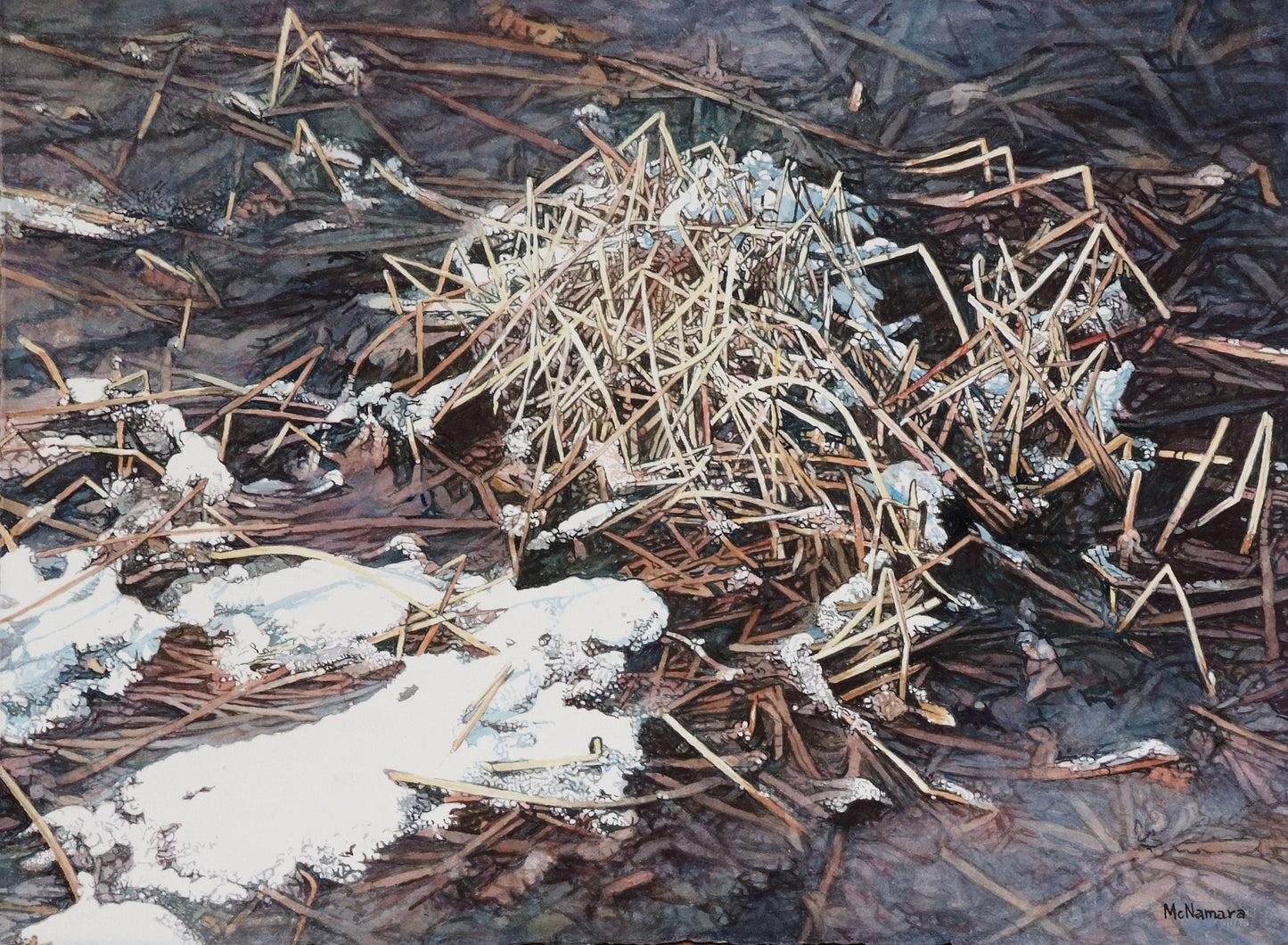 Edge of the Pond with Snow