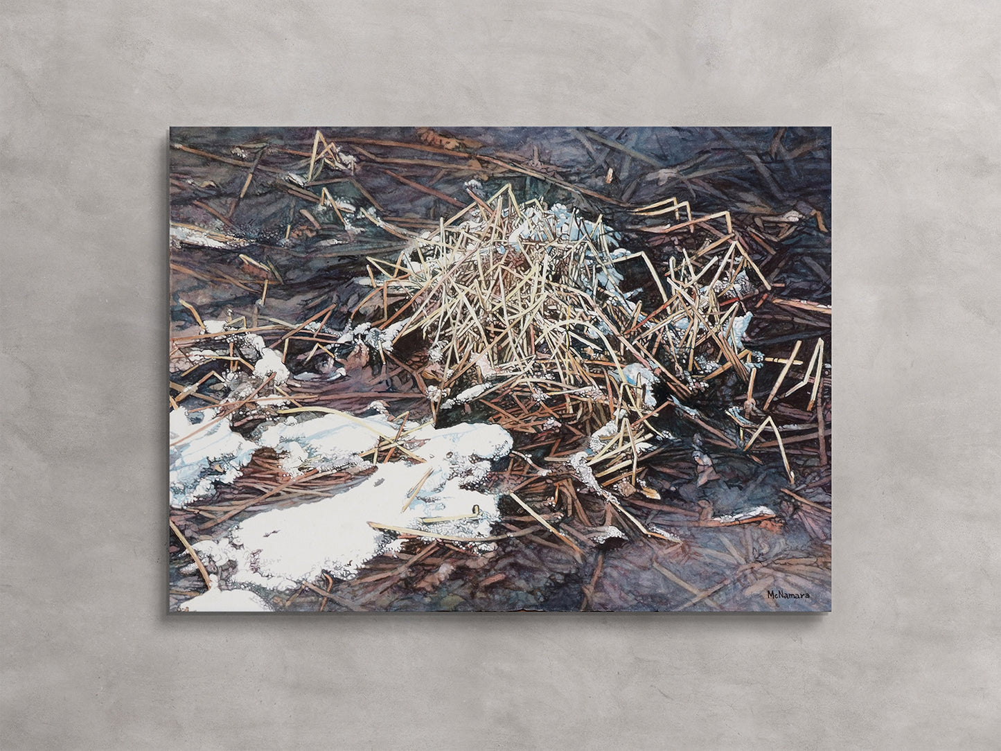 Edge of the Pond with Snow