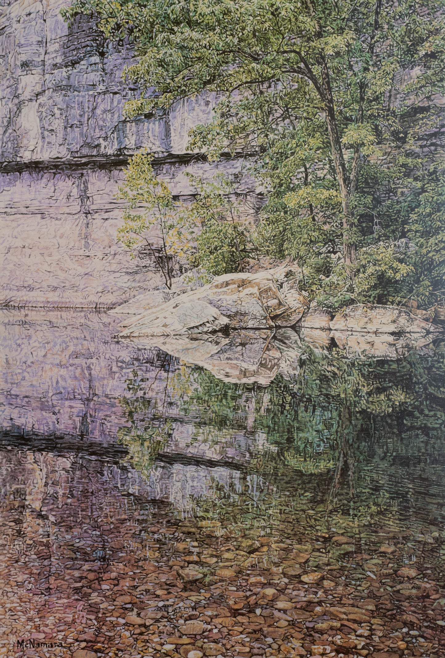 Summer Reflections at Steele Creek