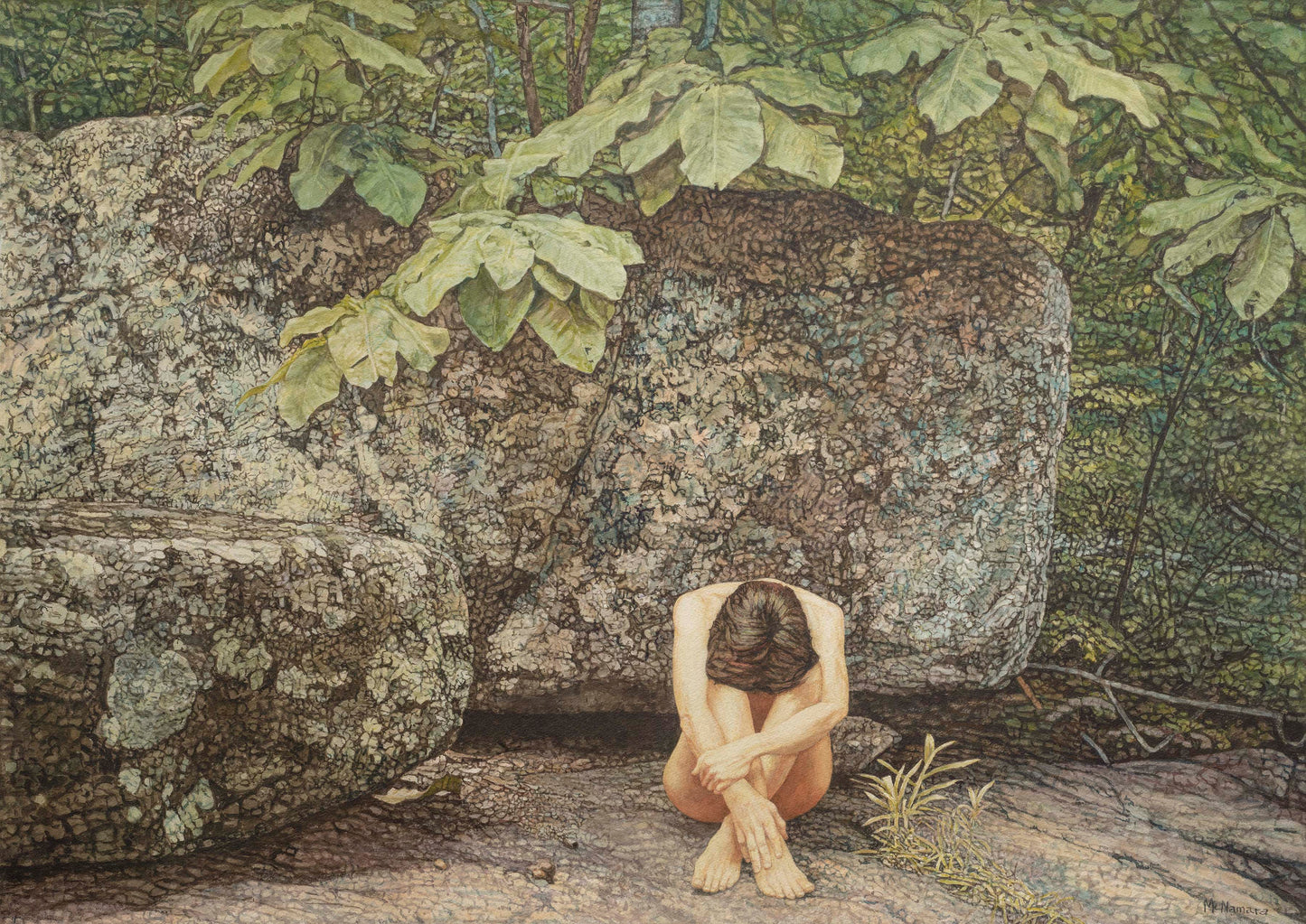 Umbrella Magnolia and Rocks