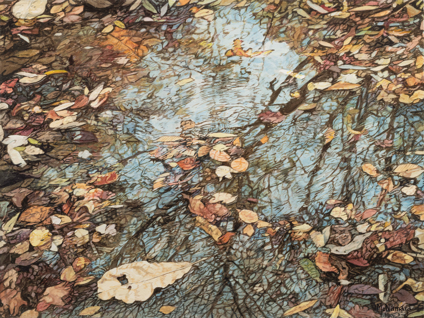 Fall Leaves on Shallow Water