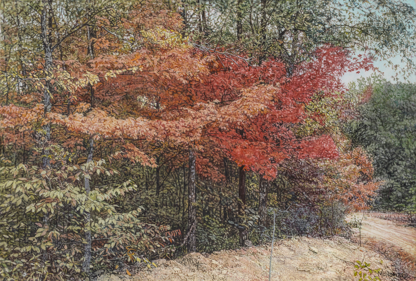 Beside the Dirt Road