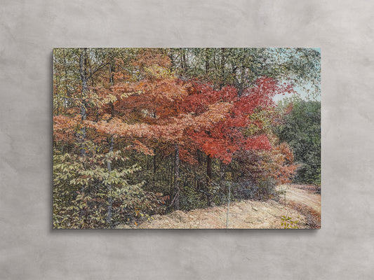 Beside the Dirt Road