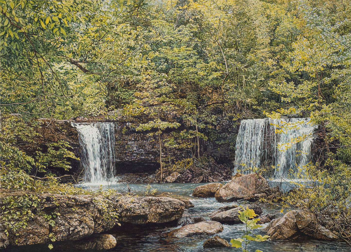 Twin Falls at Devil's Fork