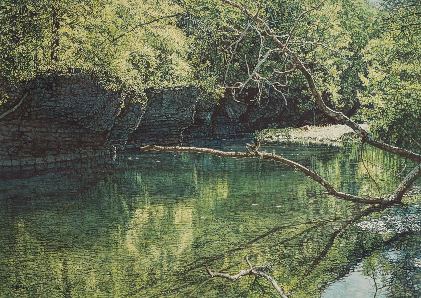 Buffalo River Near Terrapin Branch
