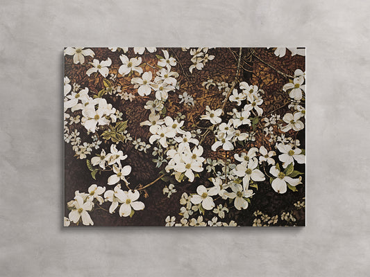 Dogwood Blossoms