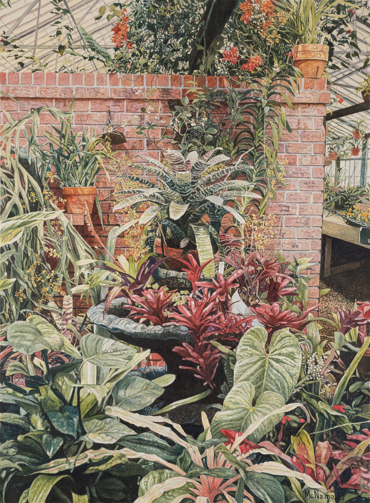 In the Conservatory
