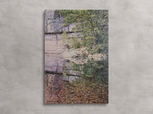 Summer Reflections at Steele Creek