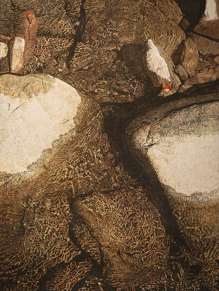 Clear Water, Late Summer River