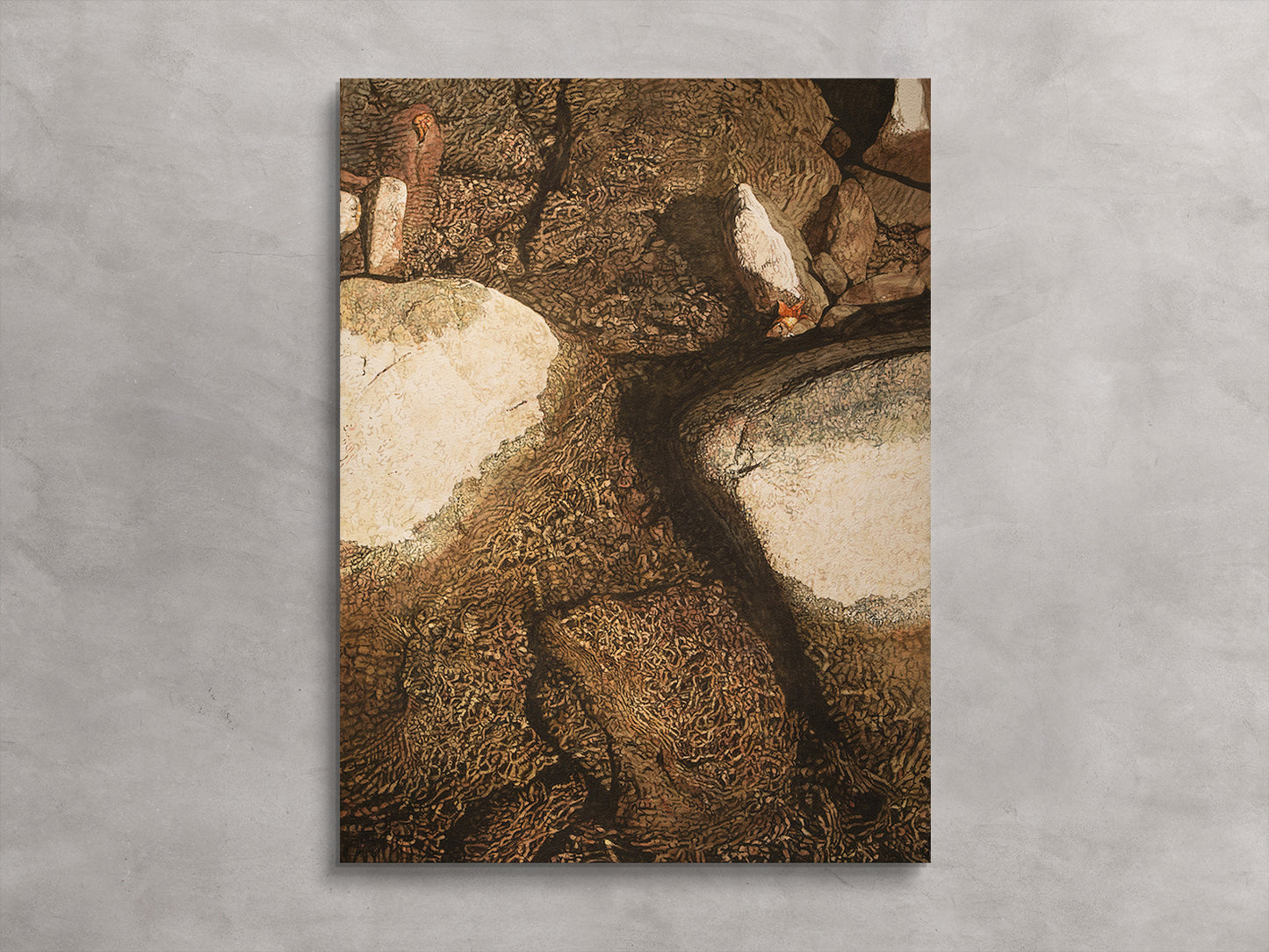 Clear Water, Late Summer River