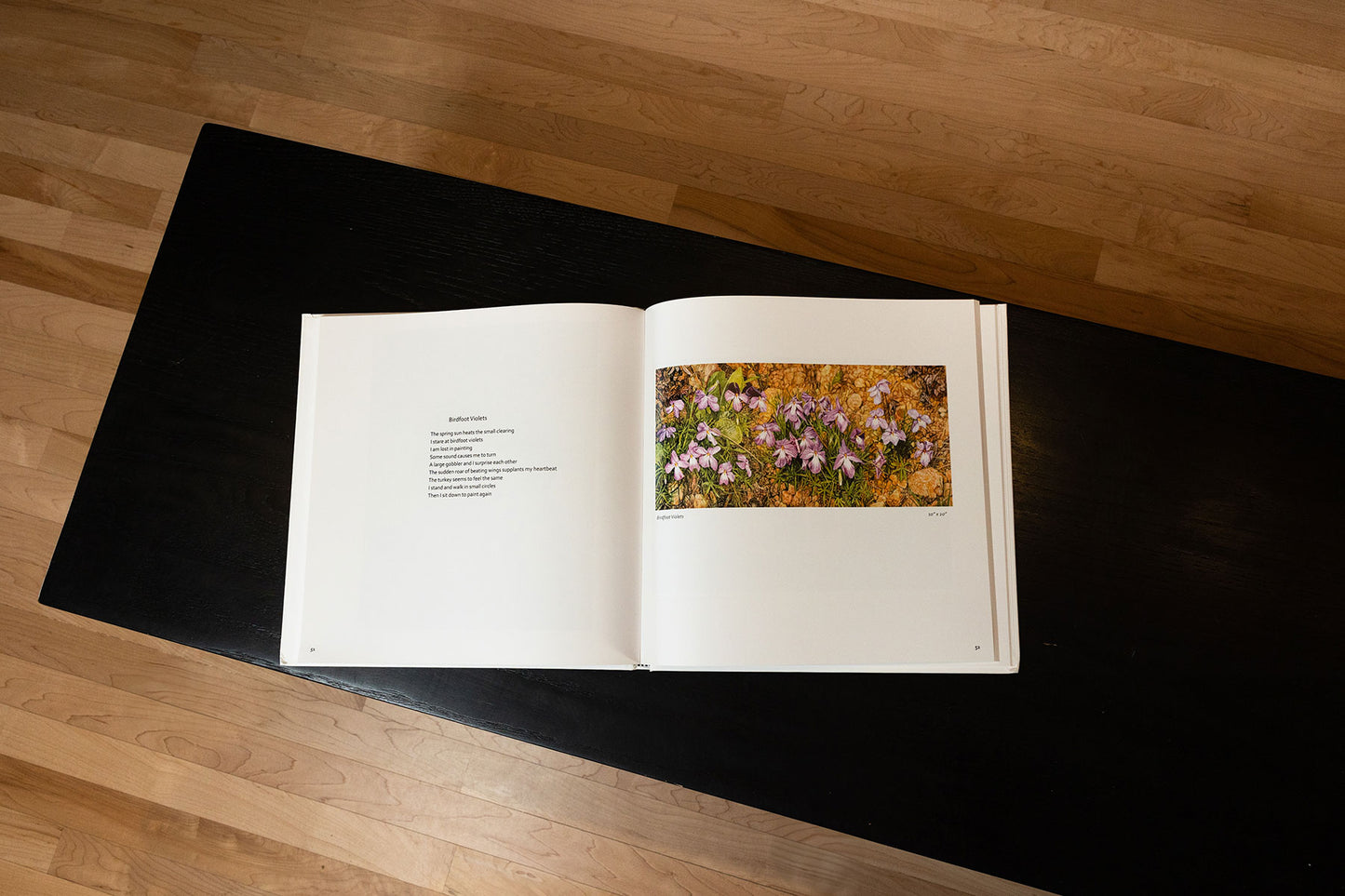 Paintings with Poems